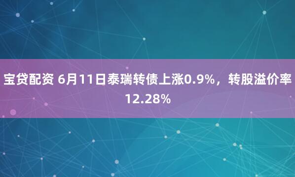 宝贷配资 6月11日泰瑞转债上涨0.9%，转股溢价率12.28%
