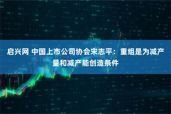 启兴网 中国上市公司协会宋志平：重组是为减产量和减产能创造条件