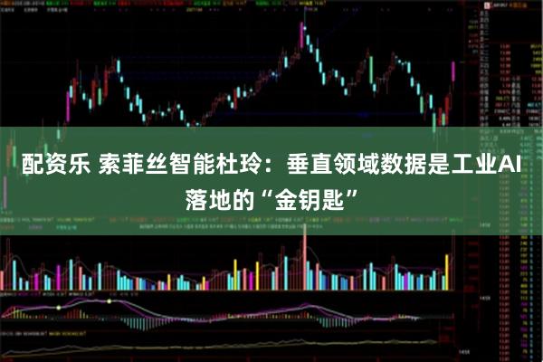 配资乐 索菲丝智能杜玲：垂直领域数据是工业AI落地的“金钥匙”