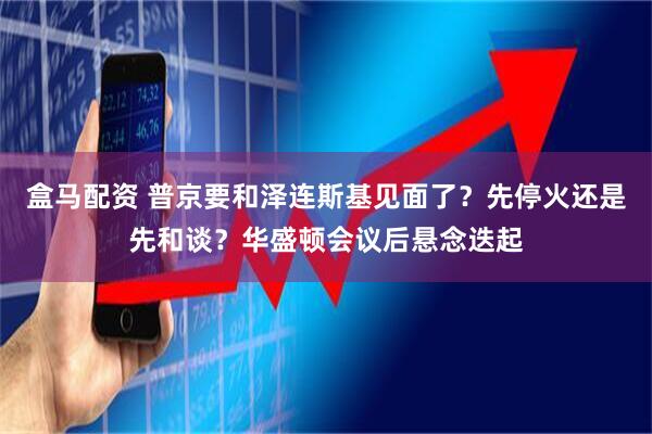 盒马配资 普京要和泽连斯基见面了？先停火还是先和谈？华盛顿会议后悬念迭起