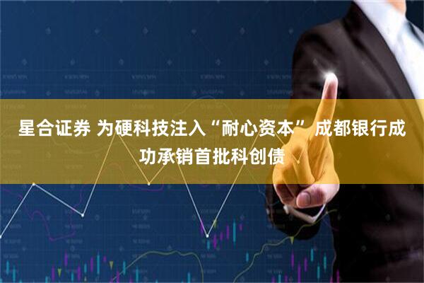 星合证券 为硬科技注入“耐心资本” 成都银行成功承销首批科创债